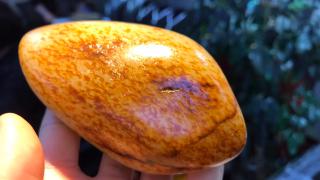 史上最强和田玉皮色较量:9000一克黑皮白肉,1万克红皮白肉